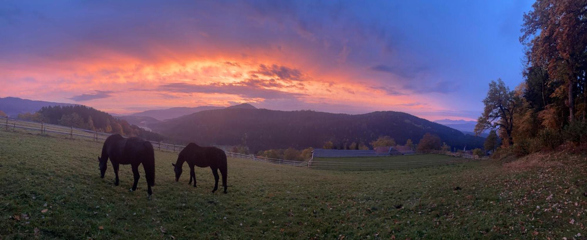 Little Farm Apartments Feldkirchen in Kärnten Εξωτερικό φωτογραφία