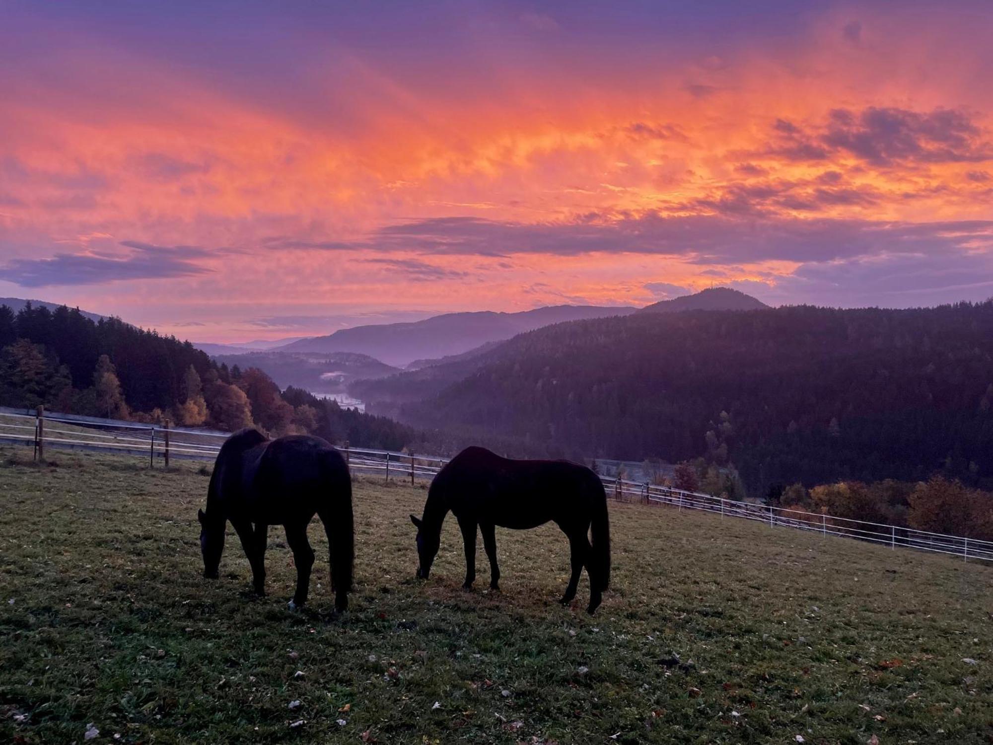 Little Farm Apartments Feldkirchen in Kärnten Εξωτερικό φωτογραφία