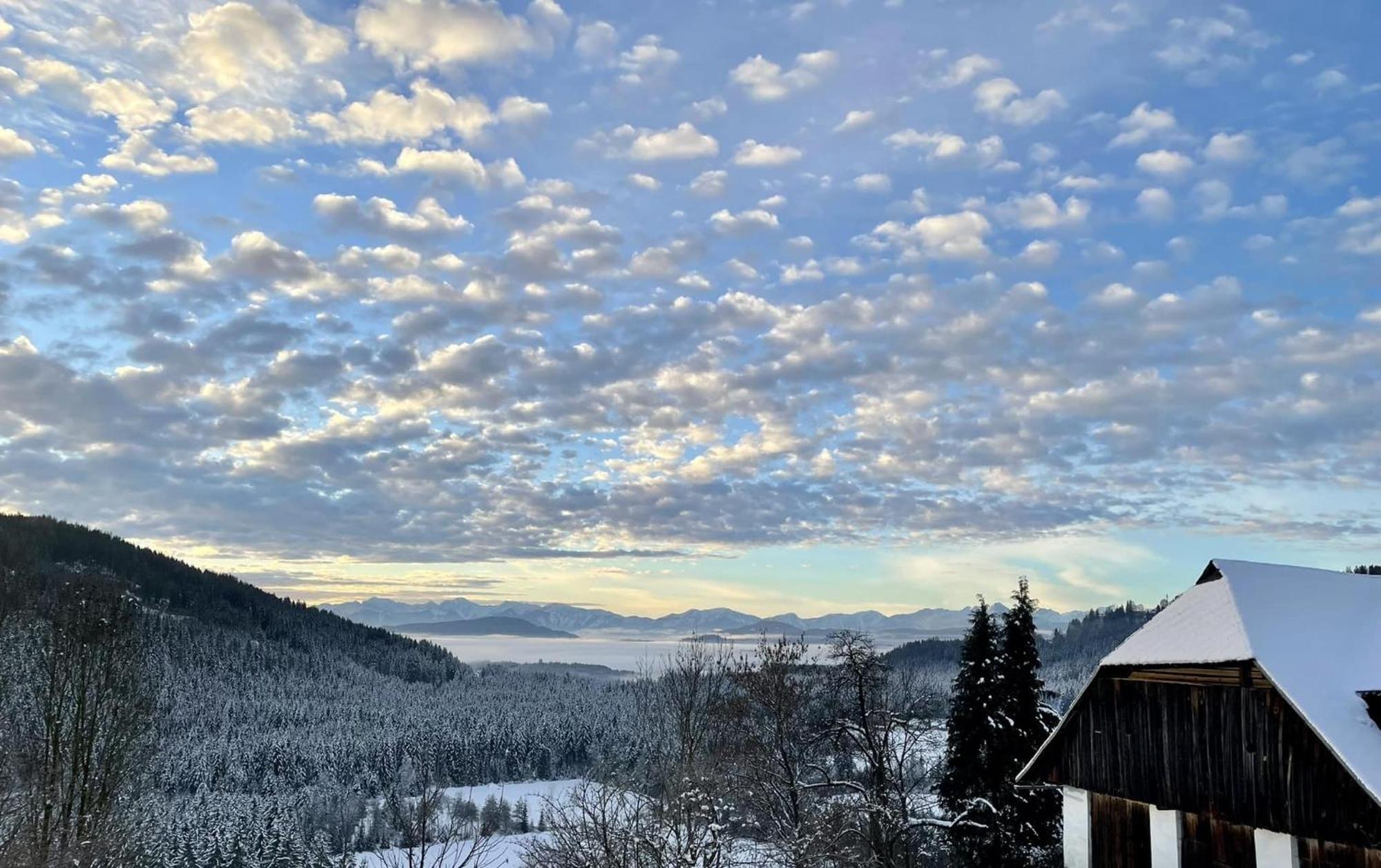 Little Farm Apartments Feldkirchen in Kärnten Εξωτερικό φωτογραφία