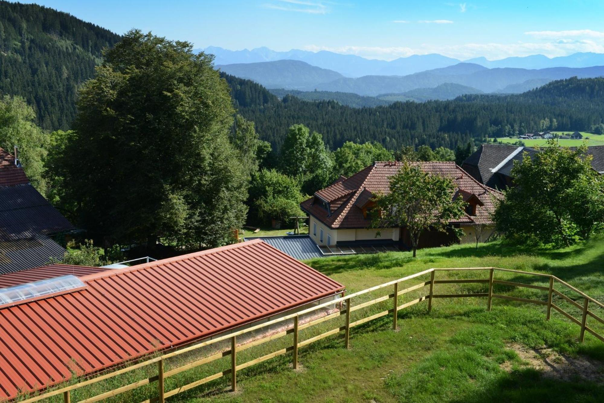 Little Farm Apartments Feldkirchen in Kärnten Εξωτερικό φωτογραφία